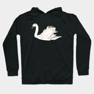 Swan Hoodie